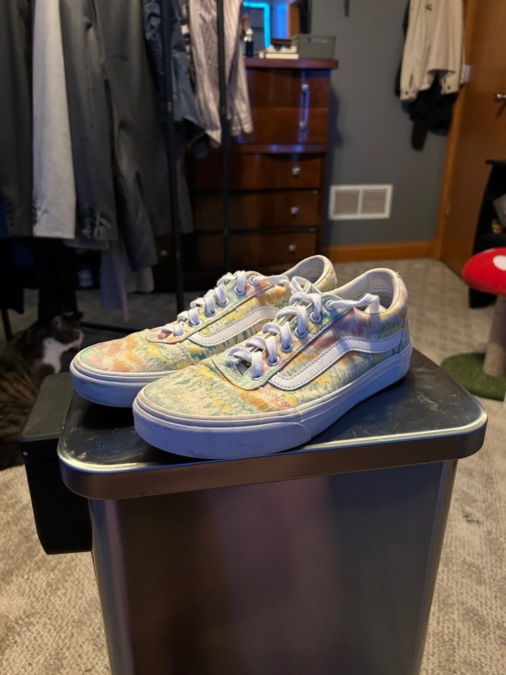 Rare Tie-Dye Vans